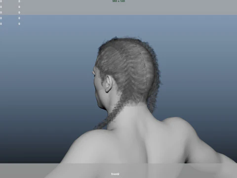 African character Hair 3D Model