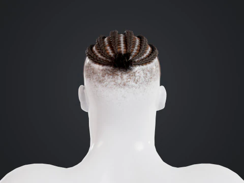 African character Hair 3D Model