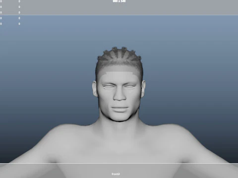 African character Hair 3D Model