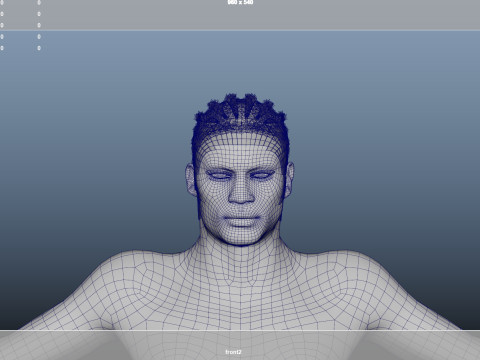 African character Hair 3D Modell