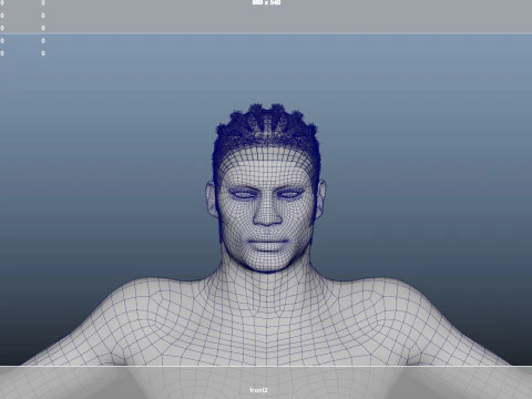 African character Hair 3D Model