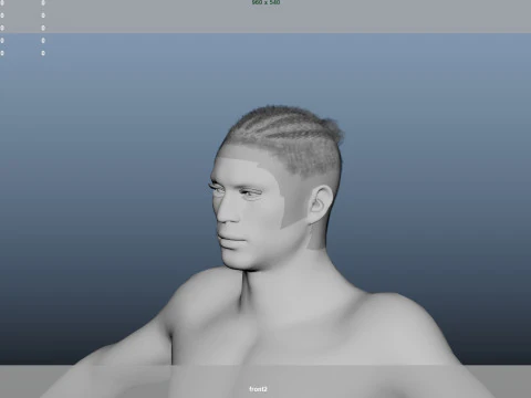 African character Hair 3D Model