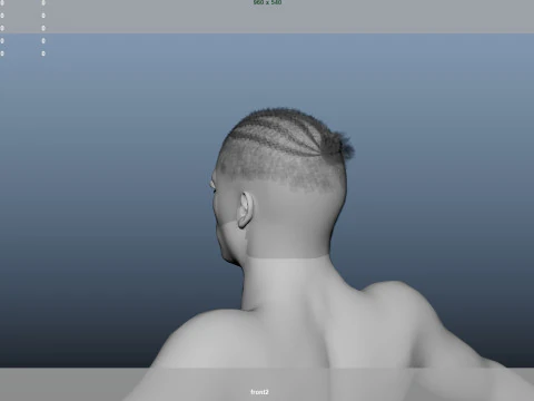 African character Hair 3D Model