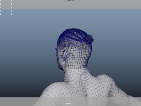 African character Hair 3D Modell