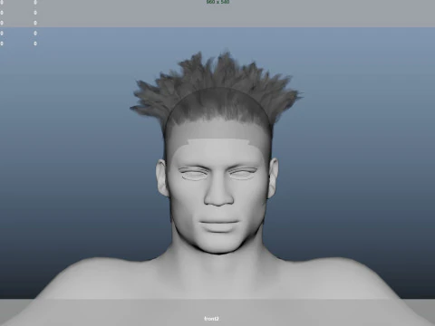 African character Hair 3D Model