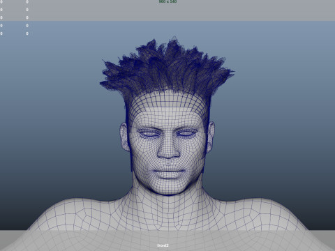 African character Hair 3D Model