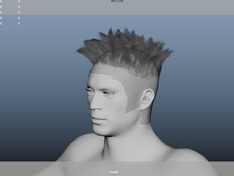 African character Hair 3D Model