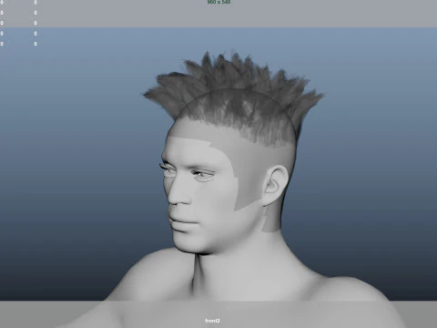 African character Hair 3D Model
