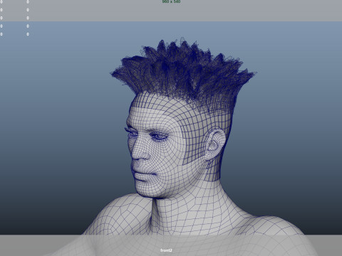 African character Hair 3D Model