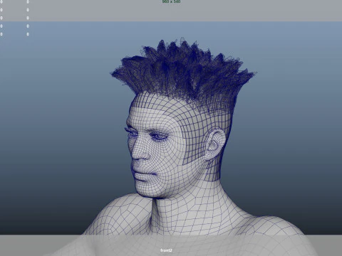 African character Hair 3D Model