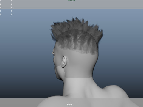 African character Hair 3D Model