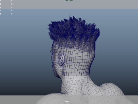 African character Hair 3D Model