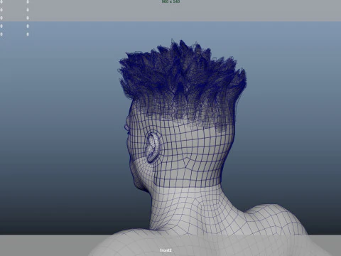 African character Hair 3D Model
