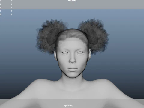 African character Hair 3D Model