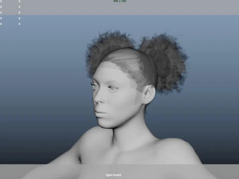 African character Hair 3D Model