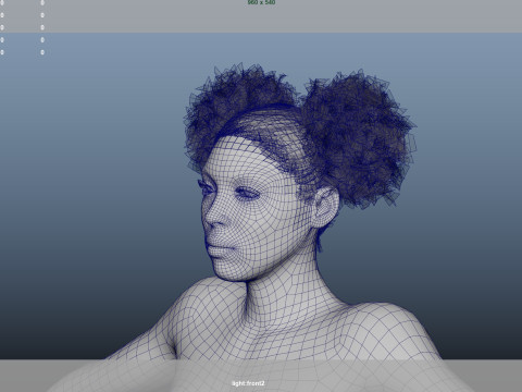 African character Hair Modelo 3D