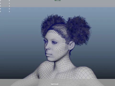 African character Hair 3D Model