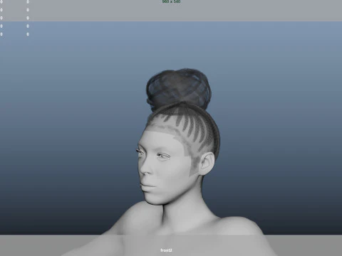 African character Hair 3D Model