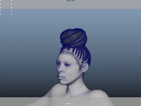 African character Hair 3D Model