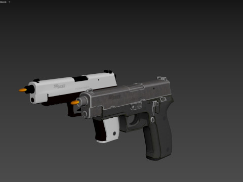 SIGP226 Model 3D