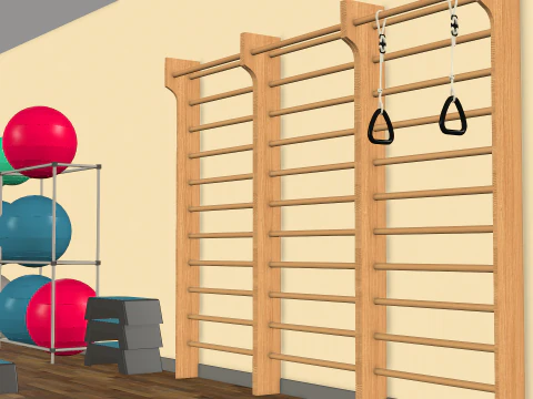 Fitness Room 3D Model