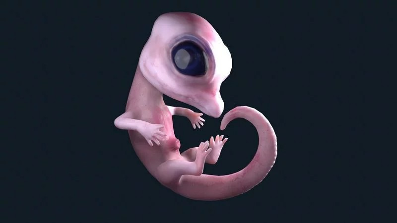 ScreenShot 3D Модель .c4d .max .obj .3ds .fbx .stl .blend