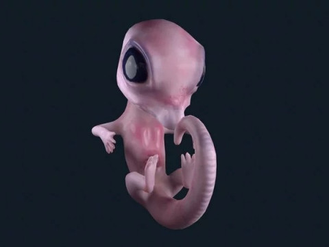 ScreenShot 3D Модель