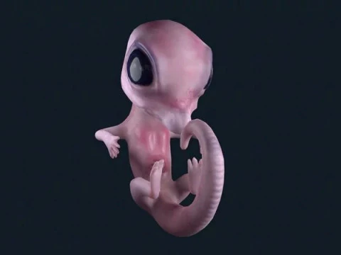 ScreenShot 3D Model