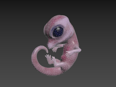 ScreenShot 3D Модель