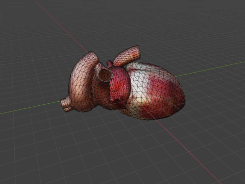 Animated Heart 3D Model