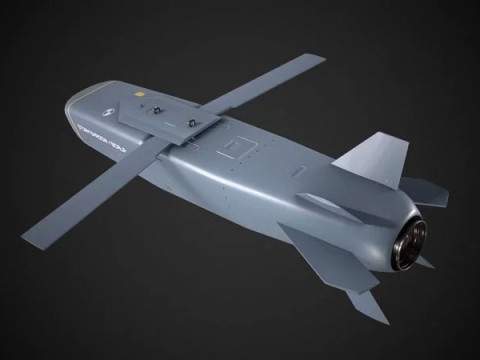 Long-range air-launched cruise missile Storm Shadow SCALP EG 3D Model