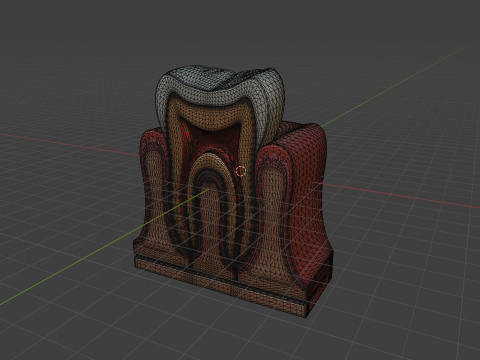 Tooth Anatomy vs Gumline 3D 모델