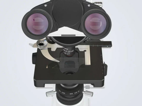 Optical Microscope 3D Model