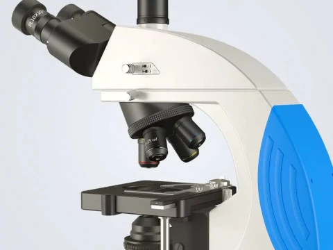 Optical Microscope 3D Model