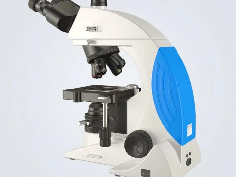 Optical Microscope 3D Model