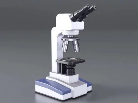 显微镜 3D 模型