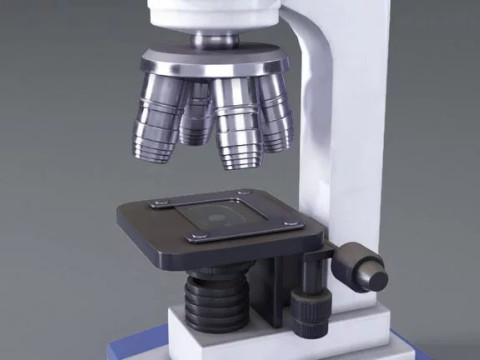 Microscope 3D Modell