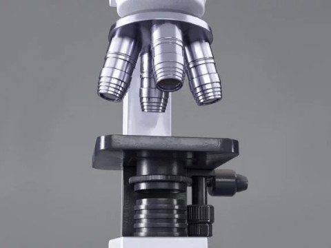 Microscope 3D Modell