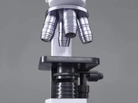 Mikroskop Model 3D