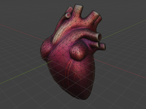 Human Heart Modèle 3D
