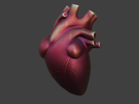 Human Heart Modèle 3D