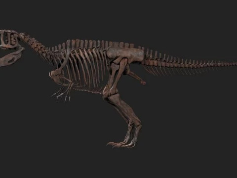 Carcharodontosaurus Skeleton 3D Modell