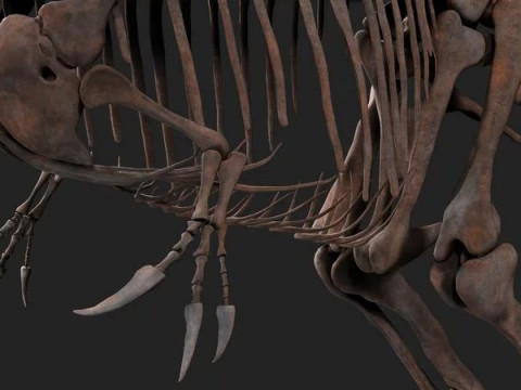 Carcharodontosaurus Skeleton Modelo 3D