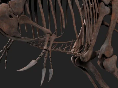 Carcharodontosaurus Skeleton 3D Model