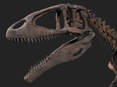 Carcharodontosaurus Skeleton 3D Model