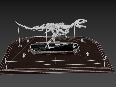 Carcharodontosaurus Skeleton Modelo 3D