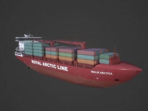 Container Ship Mary Arctica Modelo 3D