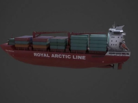 Container Ship Mary Arctica 3D Модель