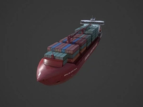 Container Ship Mary Arctica 3D Модель