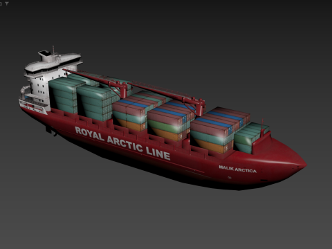 Container Ship Mary Arctica 3D Модель